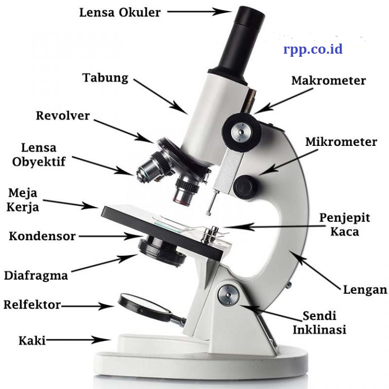 gambar bagian bagian mikroskop