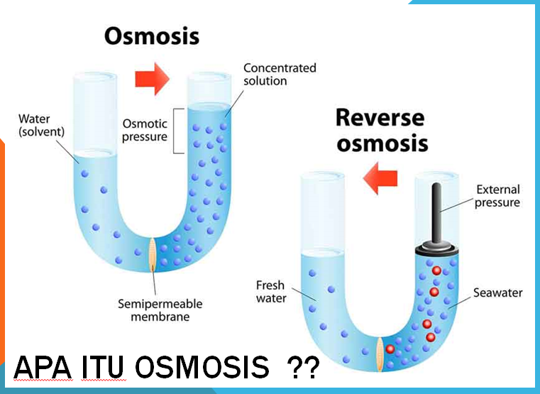 apa itu osmosis