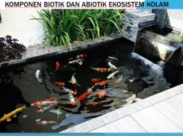 komponen biotik dan abiotik pada ekosistem kolam